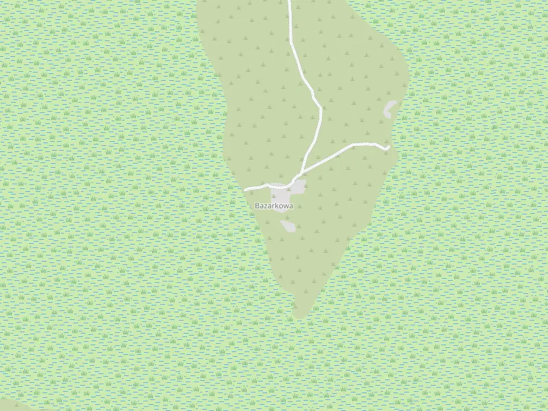 Pobierz mape Bazarkowa