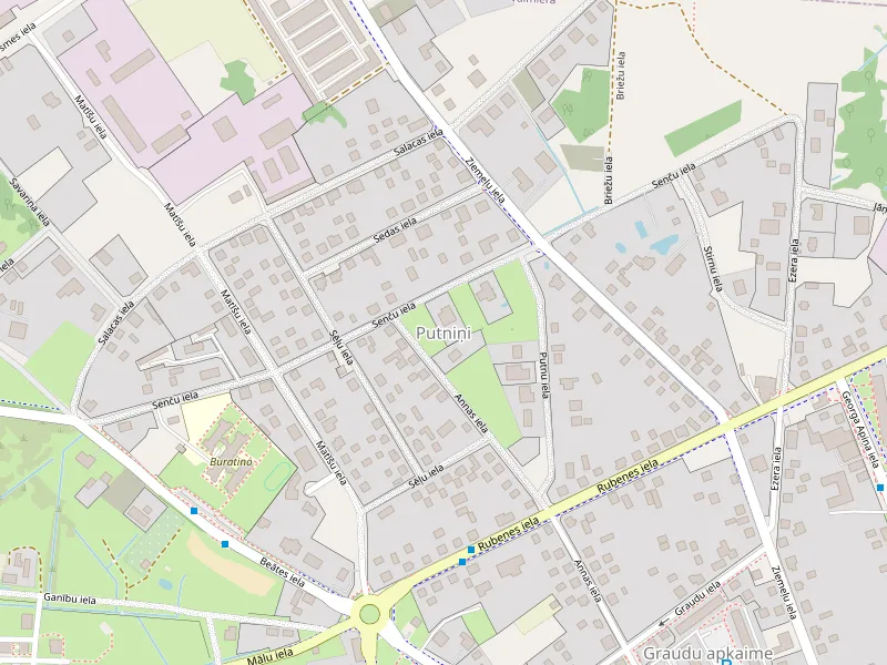 Stahnout mapu Putniņi