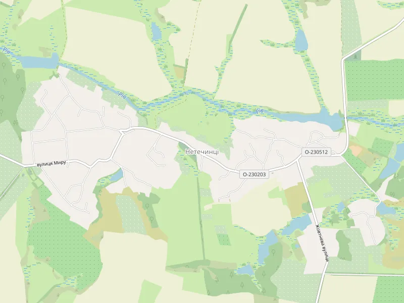 Download map of Netechyntsi