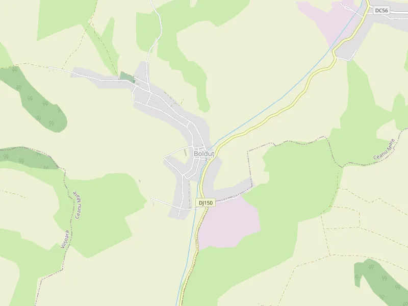 Download map of Bolduț