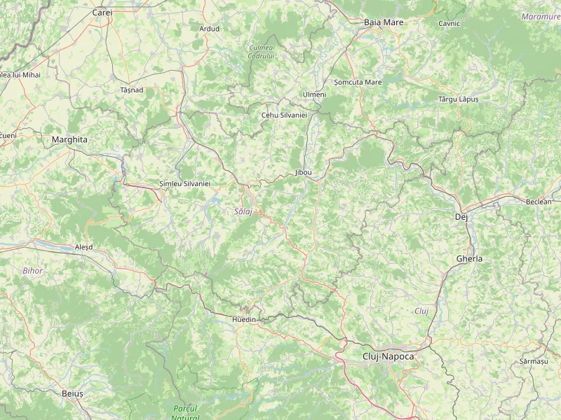 Descargar mapa de Sălaj