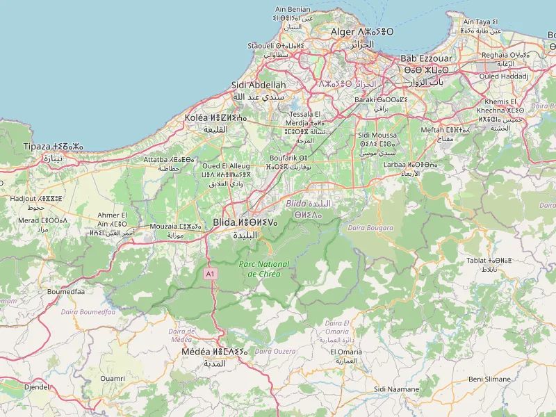 Download map of Blida