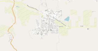 Sagopshi