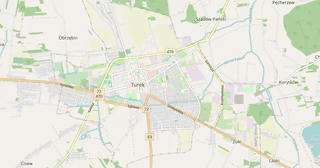 Turek
