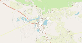Chodzież