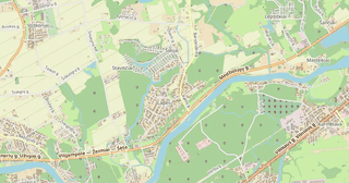 Lapės