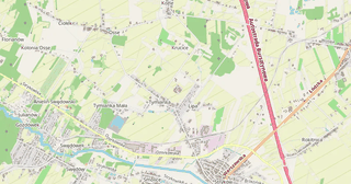 Tymianka
