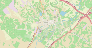 Corella