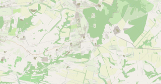 Snizhne