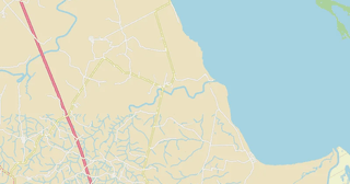 Tamalín