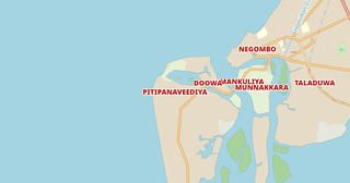 Pitipanaveediya