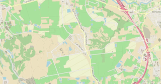 Algorfa