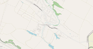 Serafyntsi