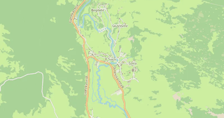 Šuica