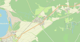 Radis