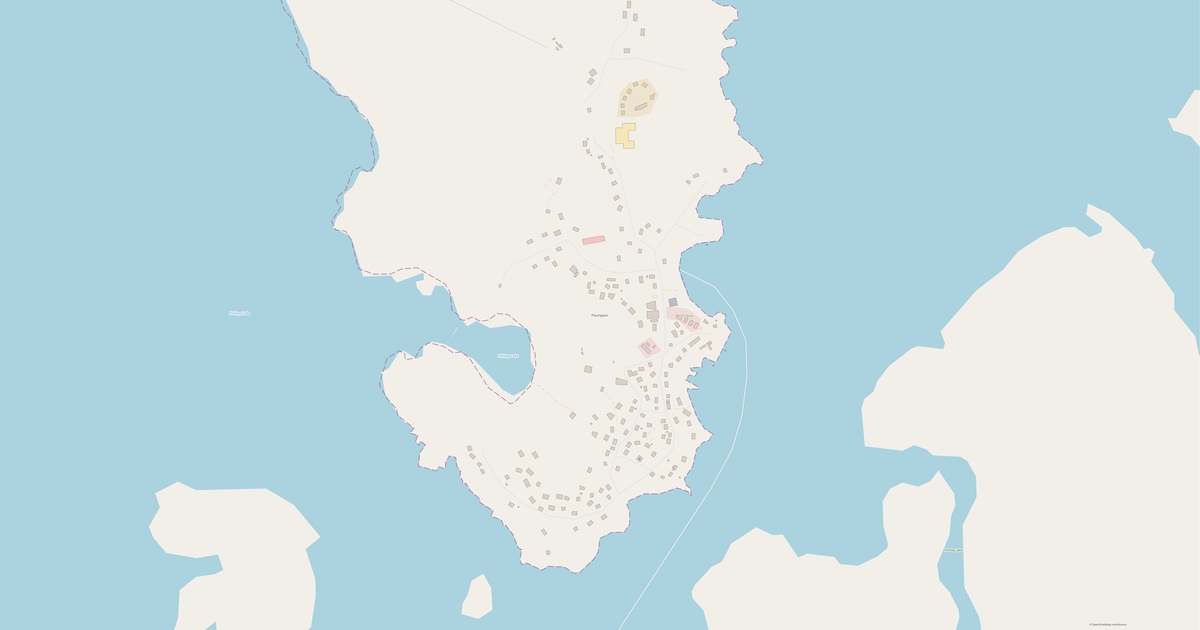 Pauingassi