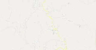 Bushtricë