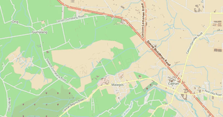 Calinan District