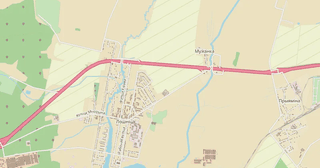 Loshnitski Selski Savet